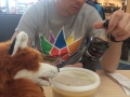 fluffythaileves