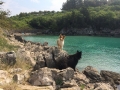 kutyás strand felé